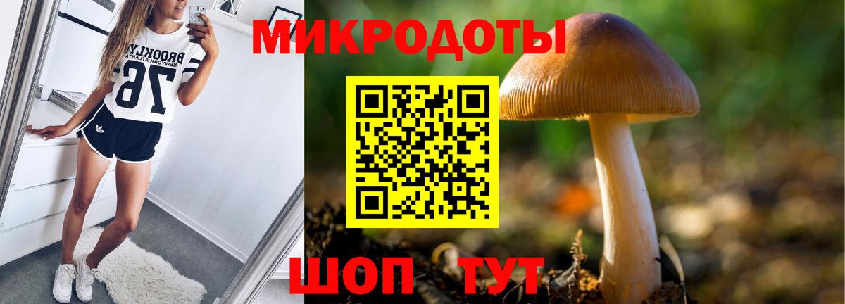 Псилоцибиновые грибы MAGIC MUSHROOMS Всеволожск
